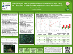 The Three-way Interaction of Sunlight Exposure, Soil Quality, and Tree Growth for Spiked Peppers (Piper Aduncum) in Secondary Forest