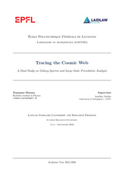 Tracing the Cosmic Web. A dual study (Research Report)