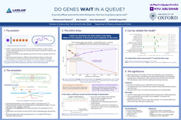 Do genes wait in a queue?