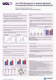 Are TP53 Mutations in Healthy Epithelia Functionally Similar to Cancer Mutations?