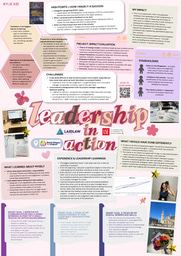 Leadership-in-Action Poster: World Villages for Children