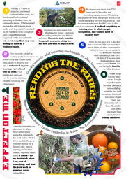 Reading The Rings: What Extending a Garden's Reach Taught Me About Leadership