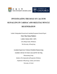 Chow Man Hymn Matthew - Laidlaw Scholars Research Project Report