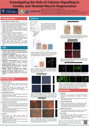 Chow Man Hymn Matthew - Laidlaw Scholars Research Poster