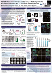 TET2-Mutant Hematopoietic Clones Shape the Lung Immune Microenvironment in NSCLC Initiation and Progression