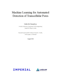 Machine Learning for Automated Detection of Transcellular Pores 