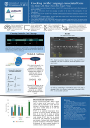 Research Poster: Knocking out the Language-Associated Gene