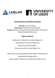 Summer Research Period: My Reflective Report