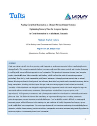Research Summer Report 
