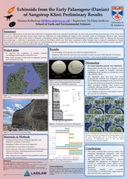 Echinoids from the Early Palaeogene (Danian) of Sangstrup Klint: Preliminary Results