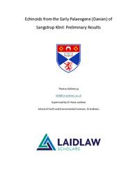Echinoids from the Early Palaeogene (Danian) of Sangstrup Klint: Preliminary Results