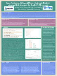 Research Poster: Intimate Partner Violence Risk Amongst the Tradwife Movement