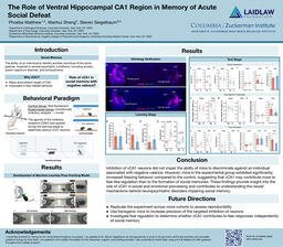 Research Poster - The Role of Ventral Hippocampal CA1 Region in Memory of Acute Social Defeat