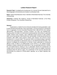 Research Essay: Investigating the Development of a Chimeric Human Gastruloid