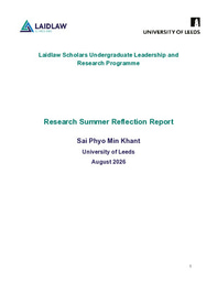 Research Summer Reflection Report