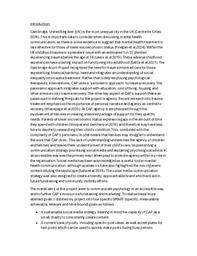 Lia project report: Mental health communication and fundraising strategy for CAP.