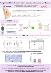The response of Estrogen receptor-positive breast cancer micrometastatic lesions to endocrine therapy