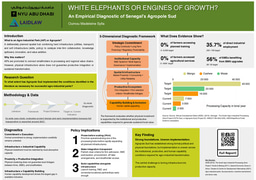 White Elephants or Engines of Growth? An Empirical Diagnostic of Senegal's Agropole Sud
