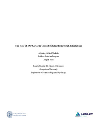 Research Essay: The Role of KCC2 in Opioid-Related Behavioral Adaptations