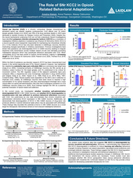 Research Poster: The Role of SNr KCC2 in Opioid-Related Behavioral Adaptations