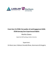 From Care To STEM: Perception of and Engagement With STEM Among Care-Experienced Adults
