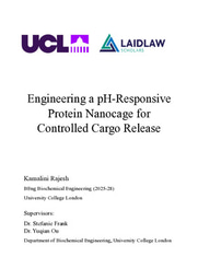 Engineering a pH-Responsive Protein Nanocage for Controlled Cargo Release