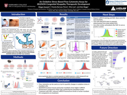 Research Poster, Summer 2026