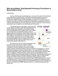 Summer Research 2026: When Sound Matters