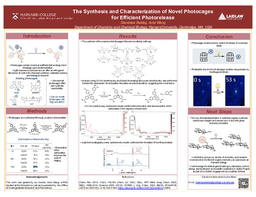 Summer 2026 Research Project Poster: Shedding Light on Photocages