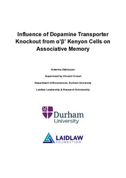 Research Paper - Influence of Dopamine Transporter Knockout from α'β' Kenyon Cells on Associative Memory