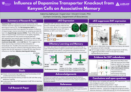 Research Poster - Influence of Dopamine Transporter Knockout from Kenyon Cells on Associative Memory