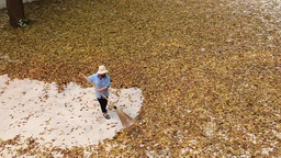 Researchers as Street Sweepers: Clearing Paths Through Complexity