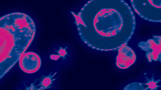 Laidlaw Conference 2024