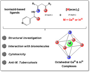 Gallium and indium complexes with isoniazid-derived ligands: Interaction  with biomolecules and biological activity against cancer cells and  Mycobacterium tuberculosis - ScienceDirect