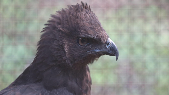 Experiment - Moving Science Forward