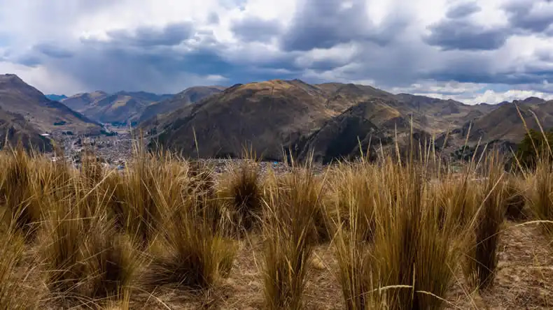 Ichu, la planta que puede rediseñar los trajes espaciales | Pachamama Radio