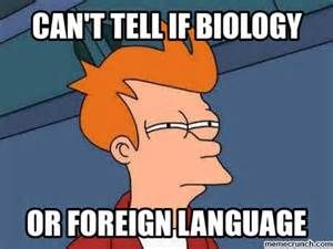 Fun Biology Meme - Bing Images | Biology jokes, Science memes, Biology humor