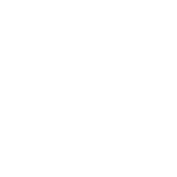 Feminist Art Making Histories