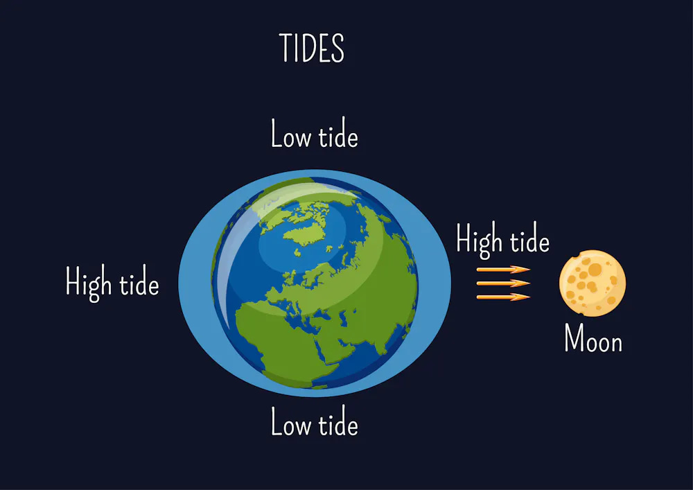 tides_cartoon The gravity of Earth's moon causes tidal bulges in our liquid oceans -- one facing toward the moon and one away.