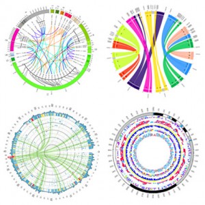 Circos examples