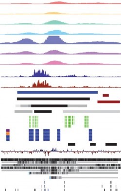 Visualization for data exploration
