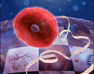 Method of the Year 2013