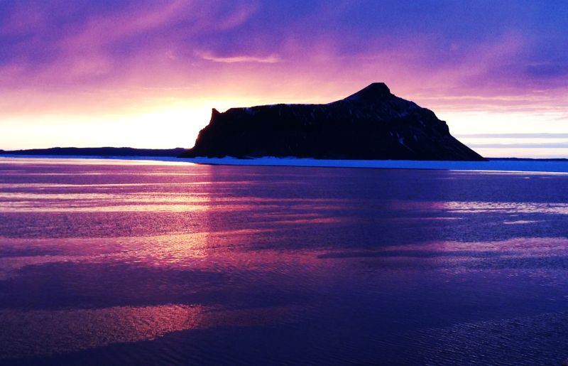 A small volcanic island in Antarctica. Moroz nicknamed it  Aplysia Island given that it looks like a model organism,  the sea slug, Aplysia. 