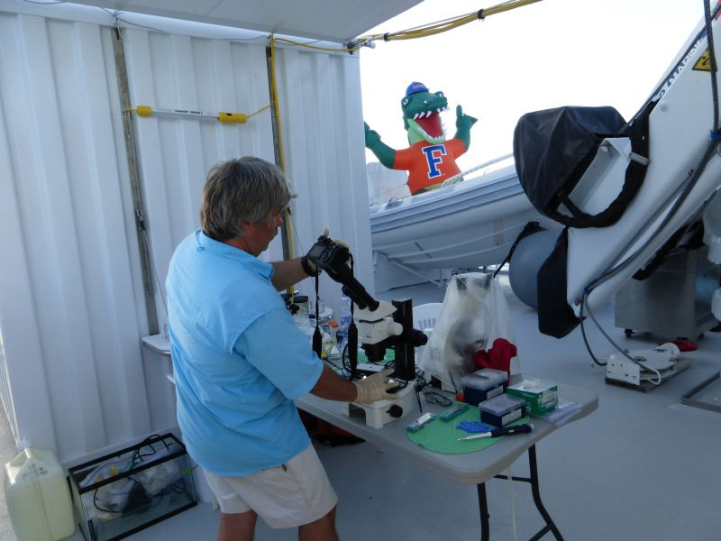 Labs can be outdoors and on-ship. 