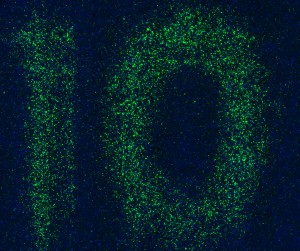 10.2-Merge-v2-cropped2 10.2-Merge-v2-cropped2