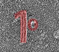 Hogberg cover Hogberg cover