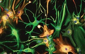 A picture from the cover