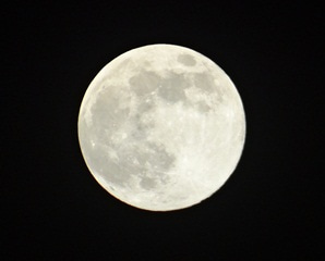 ???????????????????????????????