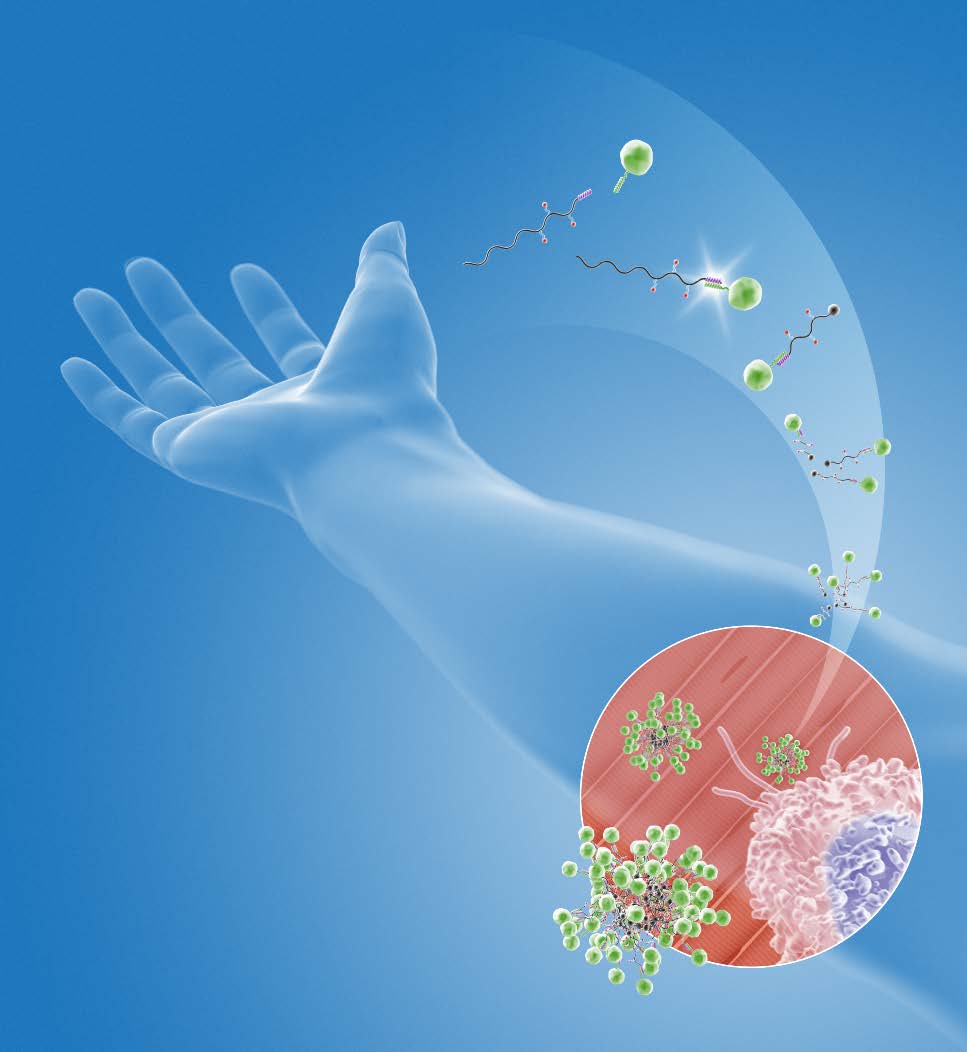 Seder NBT cover image