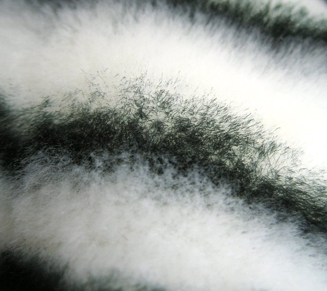 black-n-white-fibers-1195281-639×570 black-n-white-fibers-1195281-639x570